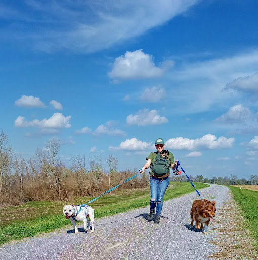 Left to right, Athena, Julie, Leo (inside backpack), and Zoey